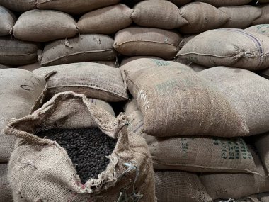 textile bag filled with roasted coffee beans waiting to be sold, Sidama, Ethipoia