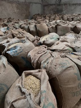 stock of green coffee beans in large canvas bags stored in a warehouse in the Sidama region of Ethiopia waiting to be sold