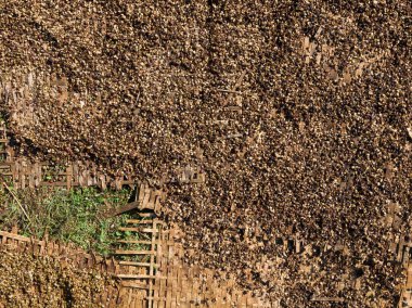 Bir çamaşır istasyonunda güneşte kurumuş kahve çekirdeklerinin hava görüntüsü.