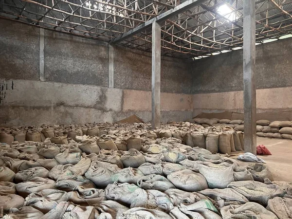 Zöld Kávébab Raktárkészlet Nagy Vászontáskákban Tárolva Egy Etióp Sidama Régió — Stock Fotó