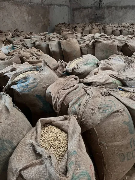 Stock Green Coffee Beans Large Canvas Bags Stored Warehouse Sidama —  Fotos de Stock