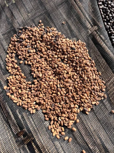 Ethiopische Gedroogde Schil Schelp Koffieboon Liggend Drogen Zon Bona Zuria — Stockfoto