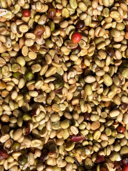 Coffee Beans Sun Drying Process Honey Process Highland Sidama Region — Fotografia de Stock