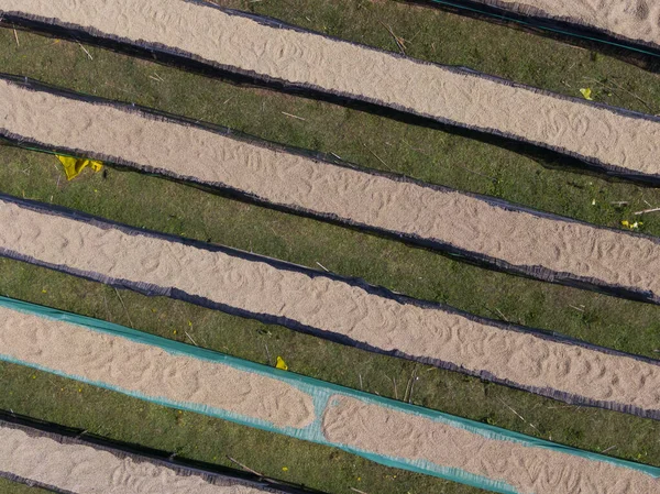 Воздушный Вид Кофейных Зерен Высыхающих Солнце Стиральной Станции — стоковое фото