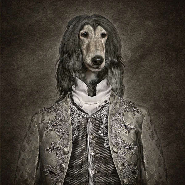 Dog Wearing Louis Xiv Royal Vintage Clothing Dark Retro Background — Stock Photo, Image