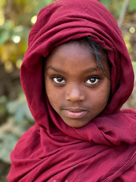 Bona Zuria Etiopie Ledna 2023 Portrét Etiopské Muslimky Purpurovém Závoji — Stock fotografie