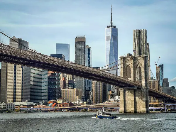 Utsikt Över Den Berömda Skyline New York Centrum Med Brooklyn — Stockfoto