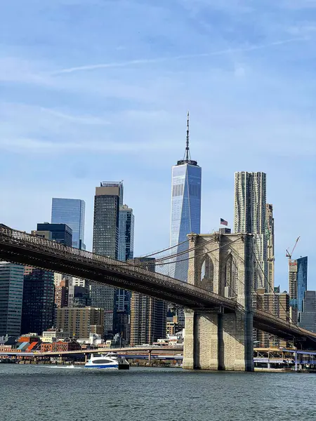 ブルックリンブリッジタワーとワンワールドトレードセンターを背景にニューヨークの有名なスカイラインの景色 ロイヤリティフリーのストック画像