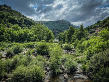 Chassezac River flowing through a lush green forest with a cloudy sky in Cevenne, lozere, france clipart