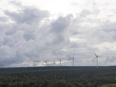 Rüzgar santrali bulutlu bir gökyüzünün altında ormanın arkasında yenilenebilir enerji üretiyor.