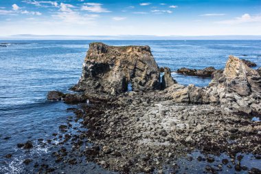 Fort Bragg, California, ABD kıyısı boyunca