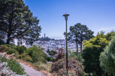 San Francisco ve Coit Kulesi yukarıdan, Kaliforniya, ABD