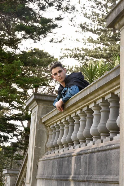 stock image portrait of handsome man wearing fantasy medieval prince costume with golden crown and romantic silk shirt.  sitting on a stone balcony in a historical castle location background.