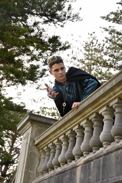 stock image portrait of handsome man wearing fantasy medieval prince costume with golden crown and romantic silk shirt.  sitting on a stone balcony in a historical castle location background.