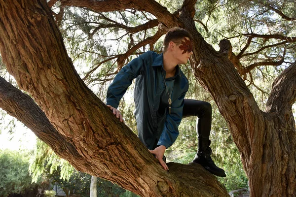 stock image portrait of handsome masked man wearing fantasy medieval prince costume with golden crown and romantic silk shirt.  climbing a tree branch in a forest location with backlit silhouette lighting.