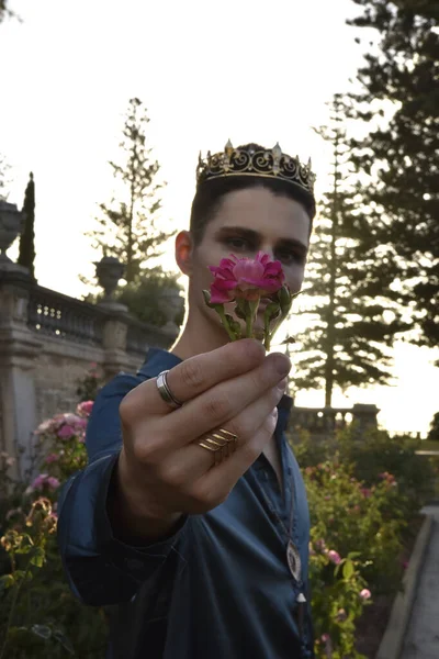 portrait of handsome brunette man wearing fantasy medieval prince costume, romantic silk shirt & royal  golden crown, posing in  castle location  rose garden with dreamy golden  silhouette lighting