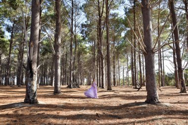 Full length portrait of beautiful young blonde model wearing purple princess fantasy ball gown with flower crown diadem. Walking away posing in pine tree forest location background with golden light