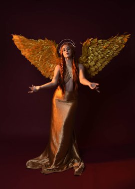 Uzun kızıl saçlı, altın ipek cüppeli, taç ve fantezi tüylü melek kanatlı güzel kadın modelinin tam boy portresi. Ayakta duran hareketli eller, koyu kırmızı stüdyo arka planında izole bir şekilde uzanıyor.