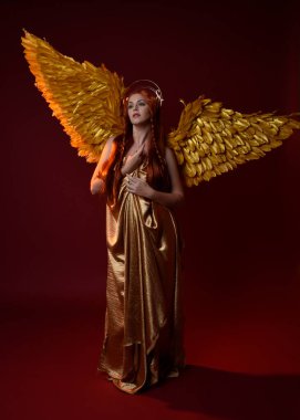 Uzun kızıl saçlı, altın ipek cüppeli, taç ve fantezi tüylü melek kanatlı güzel kadın modelinin tam boy portresi. Ayakta duran hareketli eller, koyu kırmızı stüdyo arka planında izole bir şekilde uzanıyor.