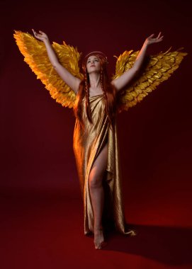 Uzun kızıl saçlı, altın ipek cüppeli, taç ve fantezi tüylü melek kanatlı güzel kadın modelinin tam boy portresi. Ayakta duran hareketli eller, koyu kırmızı stüdyo arka planında izole bir şekilde uzanıyor.