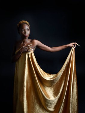  Afro, tanrıça ipek cübbesi ve süslü çiçek tacıyla güzel Afrikalı kadın modelinin fantezi portresi. Altın çiçekleri tutan hareketli pozlar. Karanlık stüdyo arka planında izole 
