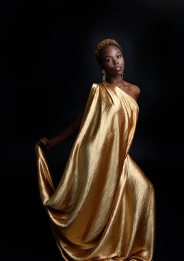  Afro, tanrıça ipek cübbesi ve süslü çiçek tacıyla güzel Afrikalı kadın modelinin fantezi portresi. Altın çiçekleri tutan hareketli pozlar. Karanlık stüdyo arka planında izole 