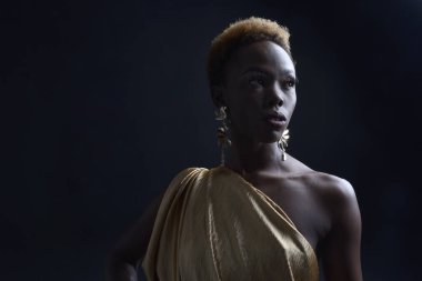  Afro, tanrıça ipek cübbesi ve süslü çiçek tacıyla güzel Afrikalı kadın modelinin fantezi portresi. Altın çiçekleri tutan hareketli pozlar. Karanlık stüdyo arka planında izole 