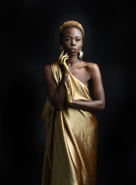  Afro, tanrıça ipek cübbesi ve süslü çiçek tacıyla güzel Afrikalı kadın modelinin fantezi portresi. Altın çiçekleri tutan hareketli pozlar. Karanlık stüdyo arka planında izole 