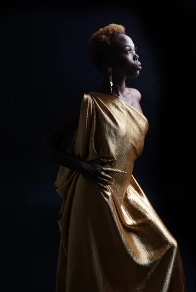Fantázia Portré Gyönyörű Afrikai Modell Afro Istennő Selyem Köntös Díszes — Stock Fotó
