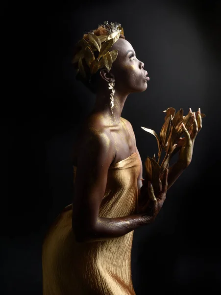 Fantasy Portrét Krásné Africké Ženy Modelky Afro Bohyně Hedvábné Róby — Stock fotografie