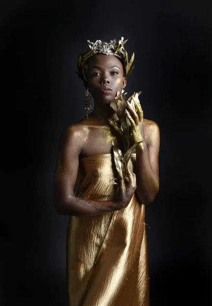 화관을 아름다운 아프리카 모델의 판타지 초상화 어두운 배경에 고립되어 있었다 — 스톡 사진