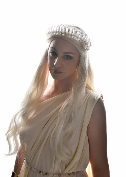 크리스털 티아라 왕관을 환상의 아름다운 모델의 초상을 빛나는 스튜디오 배경에 — 스톡 사진