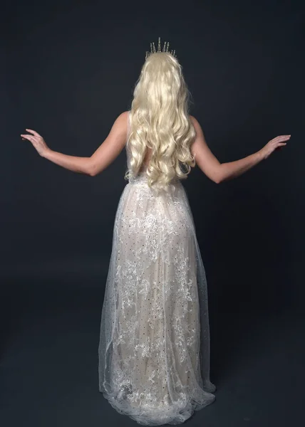 Ganzkörperporträt Schöner Frauen Mit Langen Blonden Haaren Die Fantasie Prinzessinnenkrone — Stockfoto