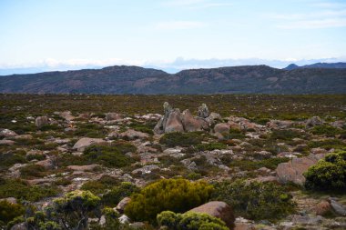 beautiful landscape vista of Mount Wellington tourist landmark in Hobart Tasmania in Australia,  with granite stones and scrubland nature