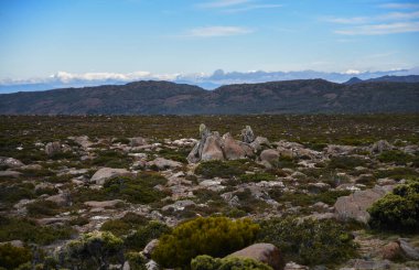 beautiful landscape vista of Mount Wellington tourist landmark in Hobart Tasmania in Australia,  with granite stones and scrubland nature