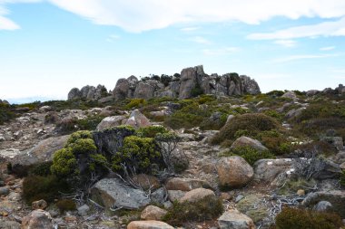 beautiful landscape vista of Mount Wellington tourist landmark in Hobart Tasmania in Australia,  with granite stones and scrubland nature