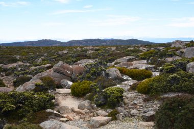 beautiful landscape vista of Mount Wellington tourist landmark in Hobart Tasmania in Australia,  with granite stones and scrubland nature