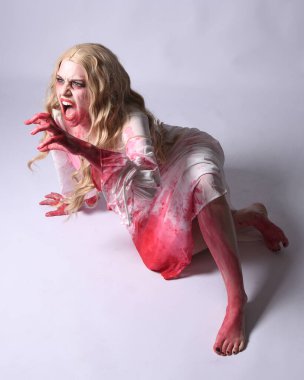  Korkunç vampir zombi gelinin portresi. Cadılar bayramı fantezi kostümü giymiş. Üzerinde kanlı kırmızı boya lekeleri var. Stüdyo arka planında izole edilmiş 