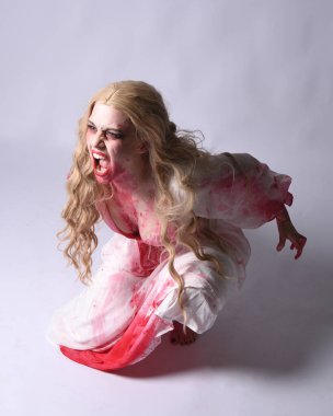  Korkunç vampir zombi gelinin portresi. Cadılar bayramı fantezi kostümü giymiş. Üzerinde kanlı kırmızı boya lekeleri var. Stüdyo arka planında izole edilmiş 