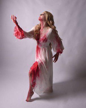  Korkunç zombi gelinin uzun bir portresi. Cadılar bayramı fantezi elbisesi ve kanlı kırmızı boya sıçraması. Ayakta durmada. Stüdyo arka planında izole edilmiş 