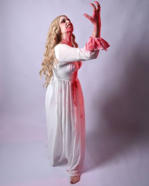  Korkunç zombi gelinin uzun bir portresi. Cadılar bayramı fantezi elbisesi ve kanlı kırmızı boya sıçraması. Ayakta durma pozu. Beyaz stüdyo arka planında izole edilmiş. 