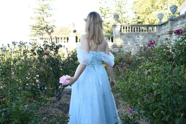 Peri Masalı Prensesi Gibi Mavi Fantezi Balo Elbisesi Giyen Güzel Telifsiz Stok Imajlar