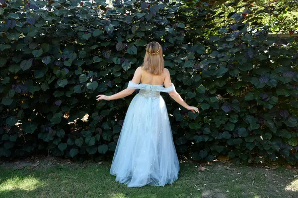 Peri Masalı Elf Prensesi Gibi Mavi Fantezi Balo Elbisesi Giyen Telifsiz Stok Imajlar