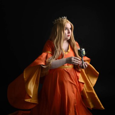 Orta çağ fantezi elbisesi giyen, kraliyet kraliçesi tacını giymiş, iri yarı sarışın bir kadının portresi. Elinde şarap bardağı, içki kadehi, izole edilmiş siyah stüdyo arka planı..