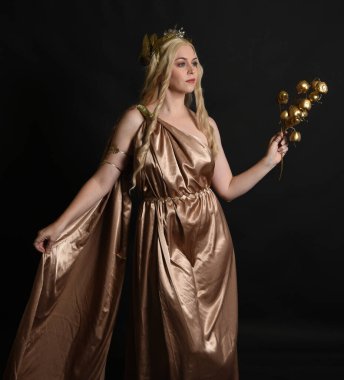 Altın sarısı ipek toga cübbe ve taç giyen güzel sarışın kadın modelin yakın plan portresi. Tarihi fantezi tanrıçası persephone elinde nar meyvesi tutuyor. Karanlık stüdyo arka planında izole.