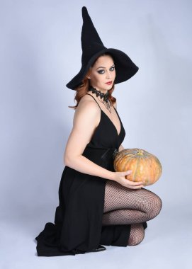  Çekici siyah cadı elbisesi giyen güzel bir kadın modelin portresi, sivri şapkalı cadılar bayramı kostümü. Diz çök, yılan tut. izole edilmiş figür stüdyo arka planı
