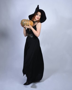 Çekici siyah cadı elbisesi giyen güzel bir kadın modelin portresi, sivri şapkalı cadılar bayramı kostümü. Yürüyen balkabağı pozu, stüdyo arka planında izole bir figür