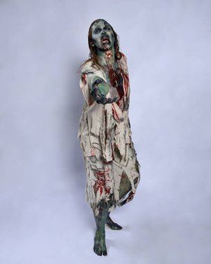 Korkunç cadılar bayramı kostümü giyen korkunç kadın modelin portresi yırtık giysiler ve sahte kan ölümsüz bir zombi karakteri gibi. Karanlık stüdyo arka planında yürüyen bir figür.