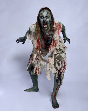 Korkunç cadılar bayramı kostümü giyen korkunç kadın modelin portresi yırtık giysiler ve sahte kan ölümsüz bir zombi karakteri gibi. Karanlık stüdyo arka planında yürüyen bir figür.
