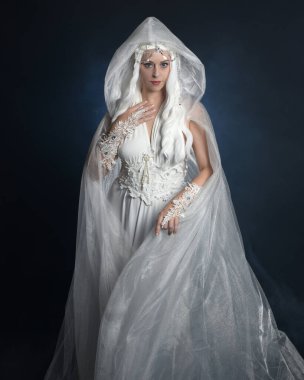 close up portrait of beautiful blonde female model wearing  white fantasy snow fairy gown,  magical silver crystal queen crown, hooded flowing  sheer cloak.  Isolated pose on dark studio background. clipart